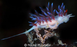 a new life starting by Nikos Moutafis 